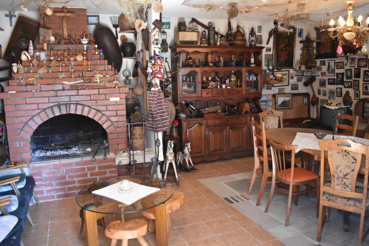 Appartement Dodo *